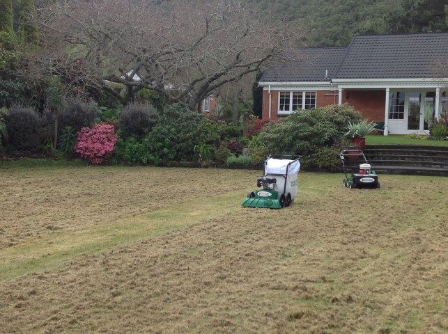 Specialised Equipment for your Lawn